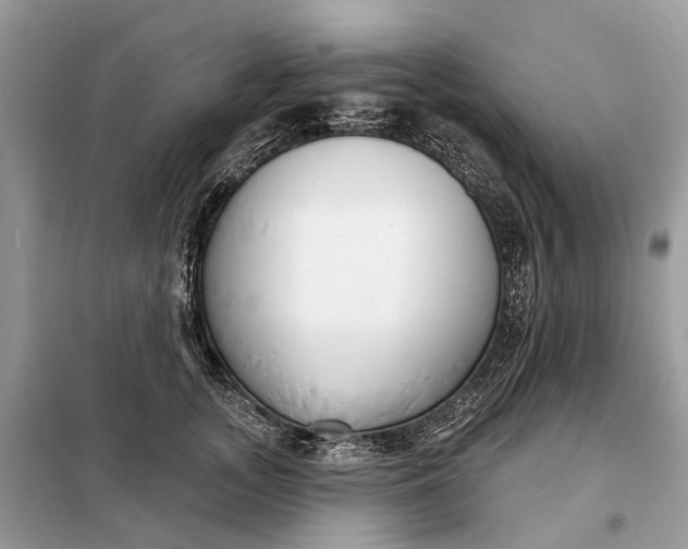 X0000098210755200805081134