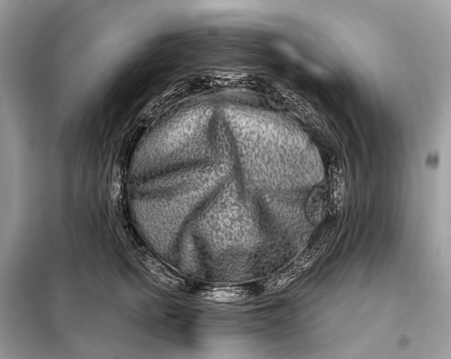 X0000098210758200805081134
