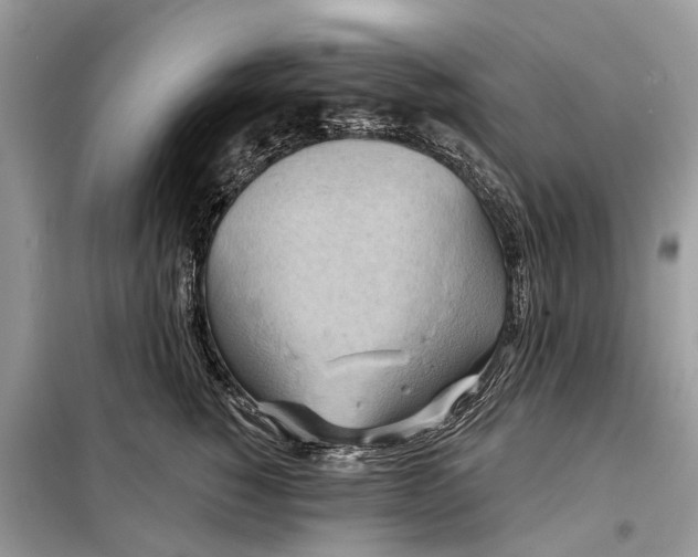 X0000098210760200805081134