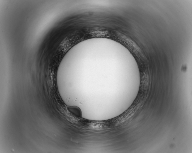 X0000098210761200805081134