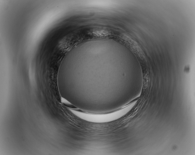X0000098210762200805081134