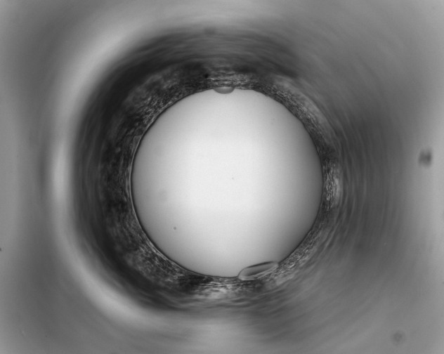 X0000098210764200805081134
