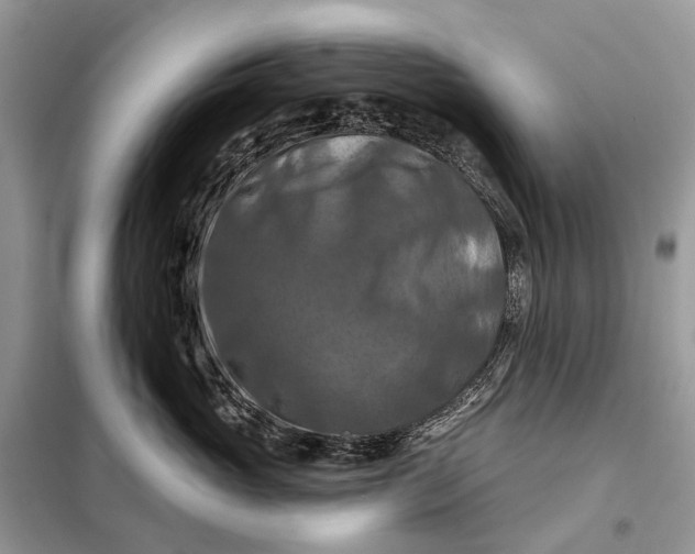 X0000098210765200805081134