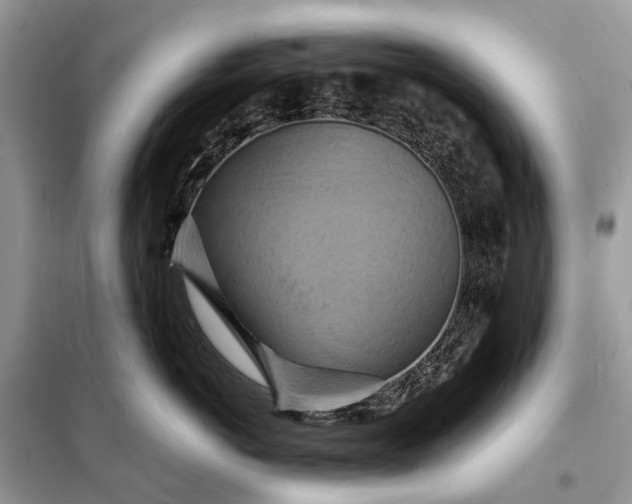 X0000098210766200805081135