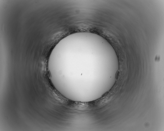 X0000098210768200805081135
