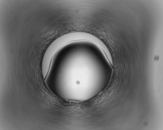 X0000098210769200805081134