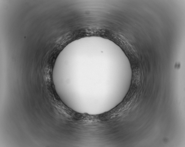 X0000098210770200805081134