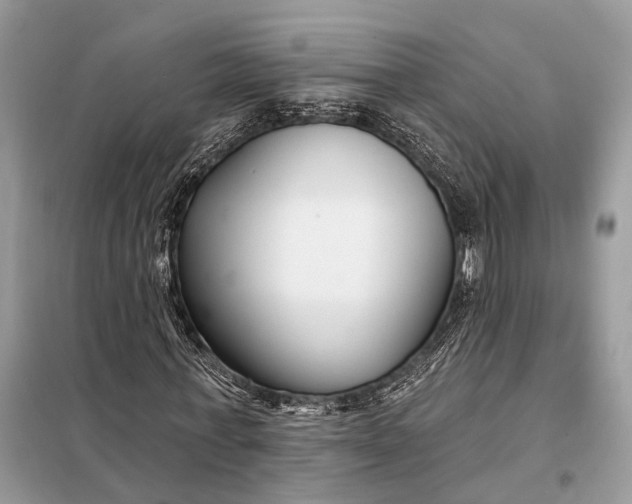 X0000098210771200805081134