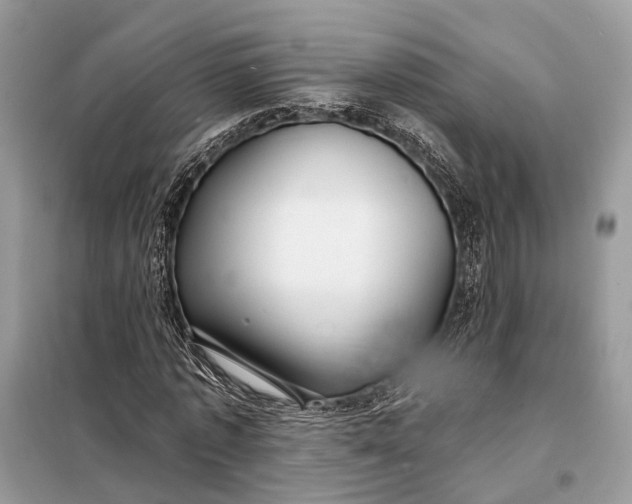 X0000098210773200805081134