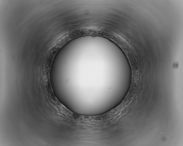 X0000098210774200805081134