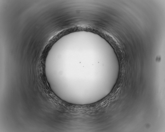 X0000098210776200805081134