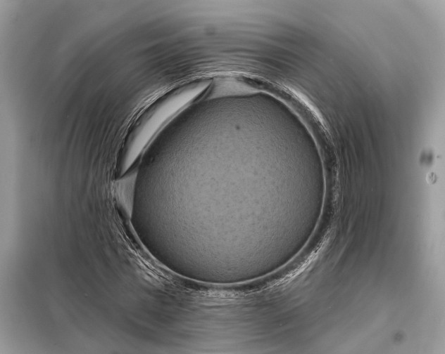 X0000098210777200805081134