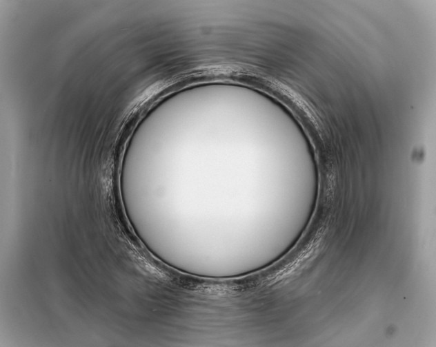 X0000098210778200805081134
