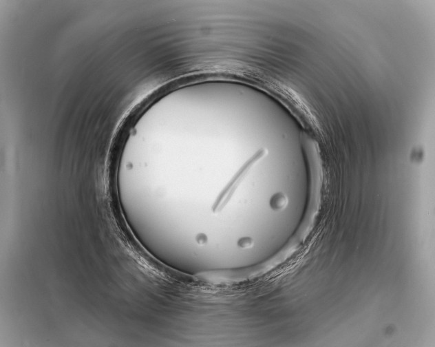X0000098210780200805081134