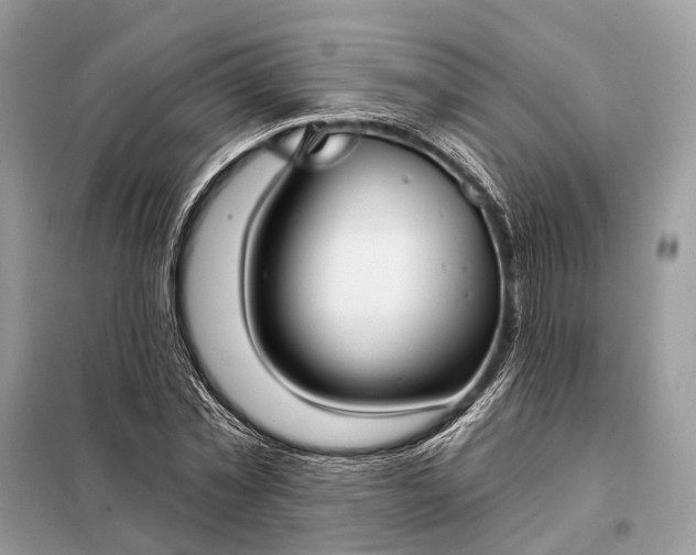 X0000098210781200805081134