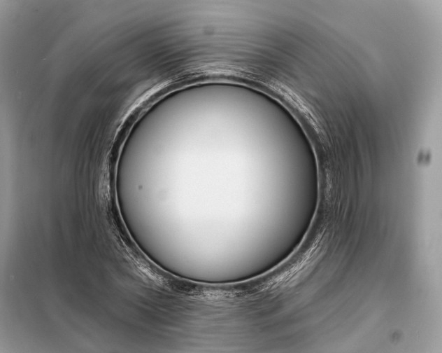 X0000098210782200805081134