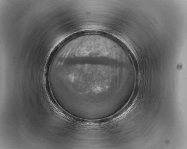 X0000098210783200805081134