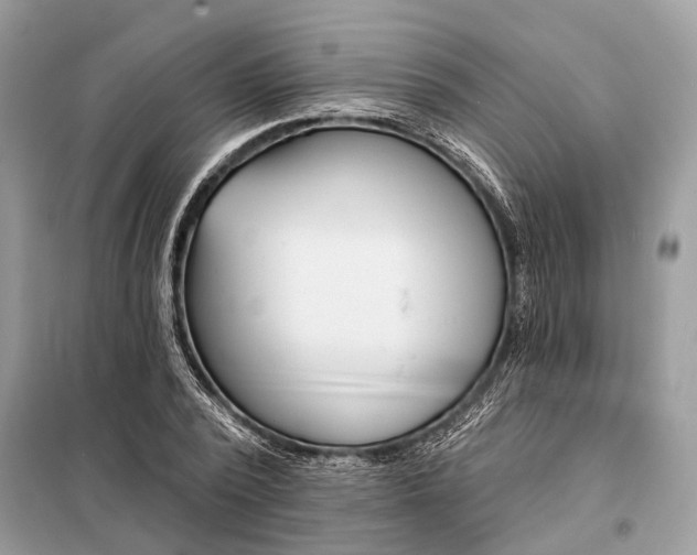 X0000098210784200805081134