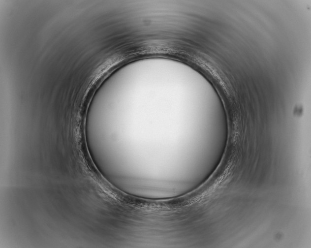 X0000098210786200805081134