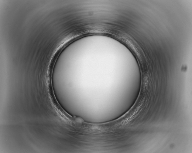 X0000098210787200805081134
