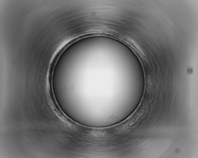X0000098210788200805081134