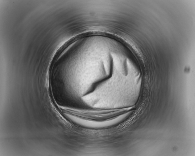 X0000098210791200805081133