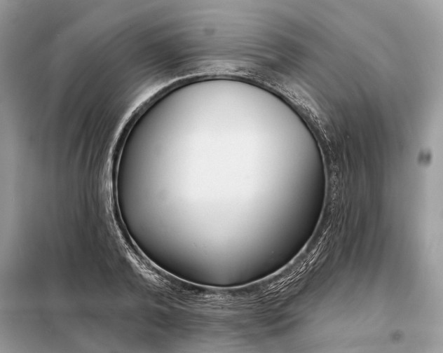 X0000098210792200805081133