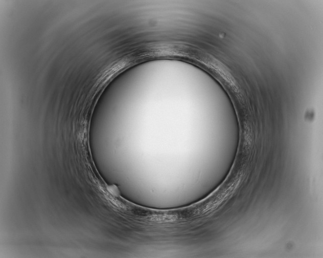 X0000098210793200805081133