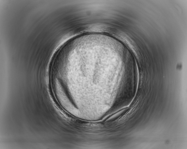 X0000098210795200805081133