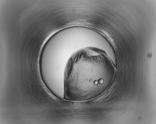 X0000098210796200805081133