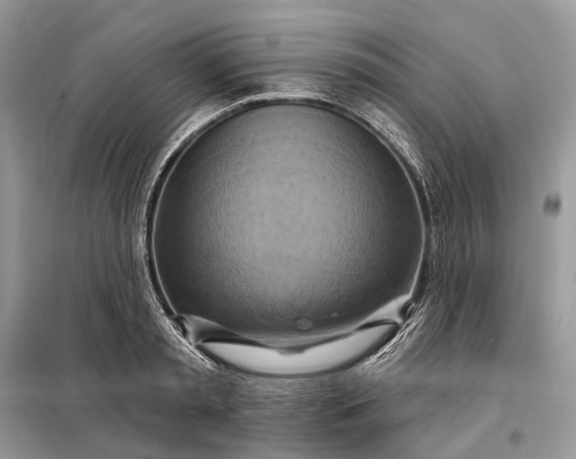 X0000098210797200805081133