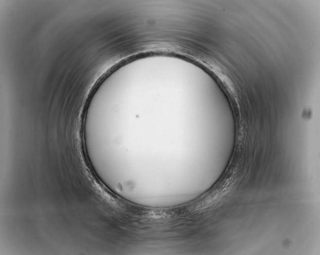 X0000098210799200805081133
