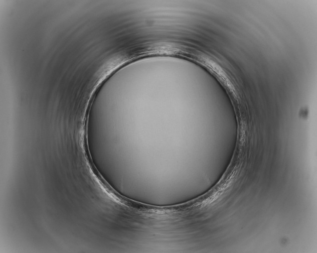 X0000098210802200805081133