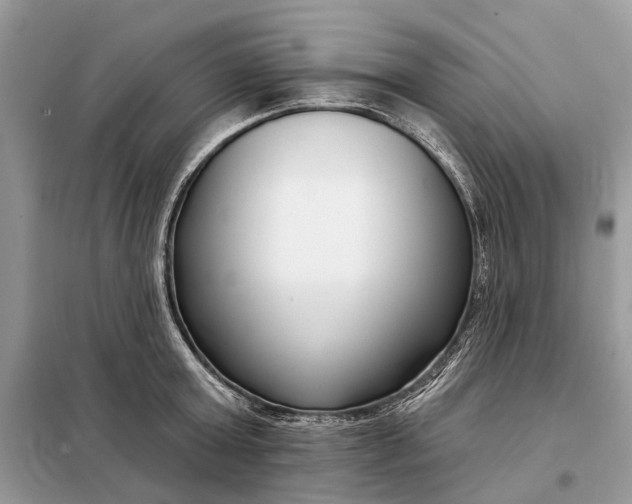 X0000098210803200805081133