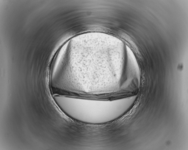 X0000098210804200805081133