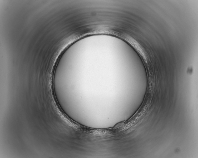 X0000098210805200805081133