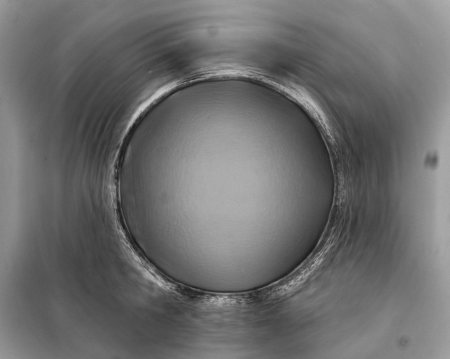 X0000098210806200805081133