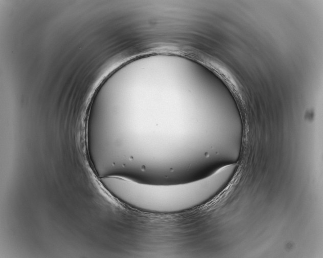X0000098210808200805081133