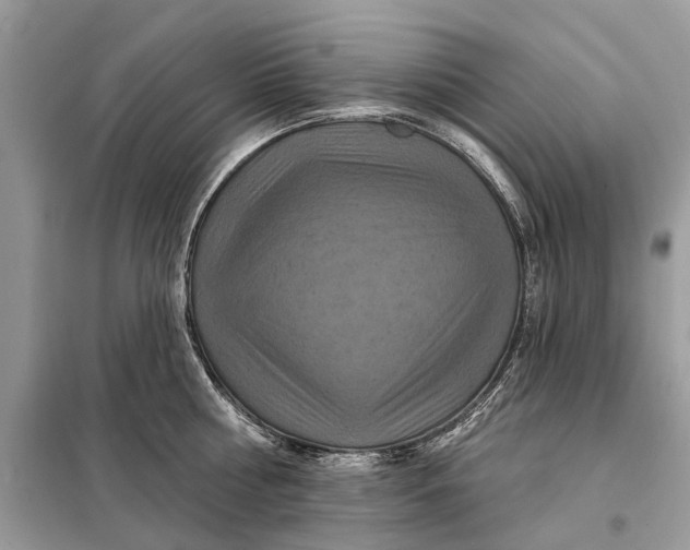 X0000098210810200805081133