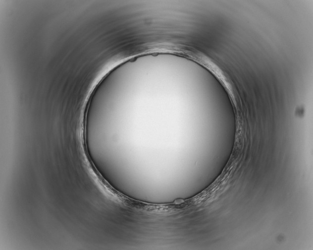 X0000098210811200805081133