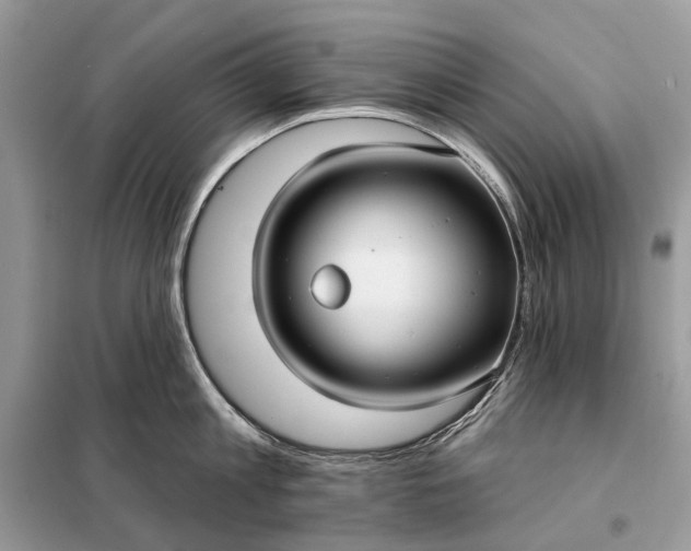 X0000098210813200805081133