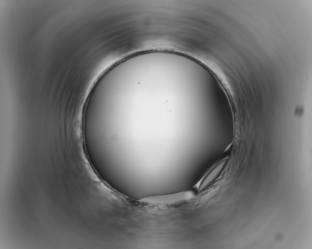 X0000098210815200805081133
