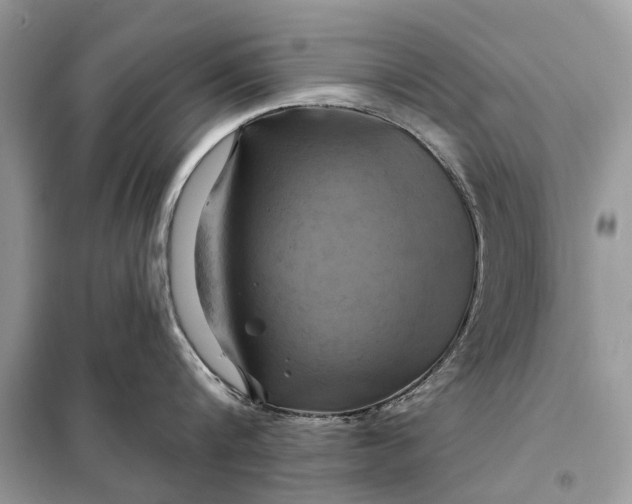X0000098210816200805081133