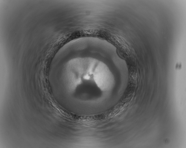 X0000098210817200805081132