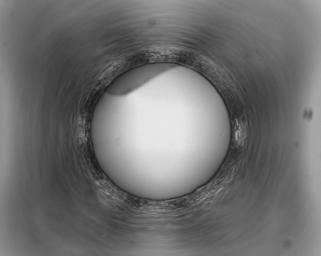 X0000098210819200805081132