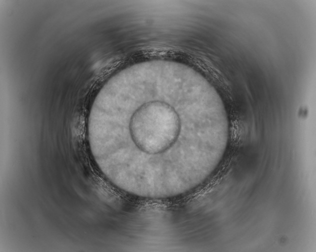 X0000098210820200805081132