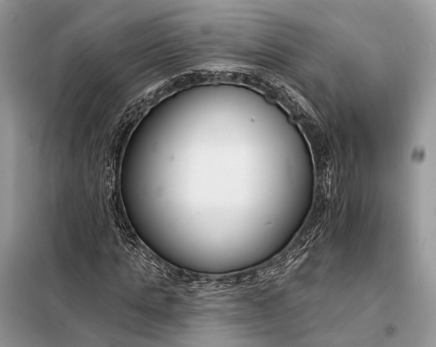 X0000098210821200805081132