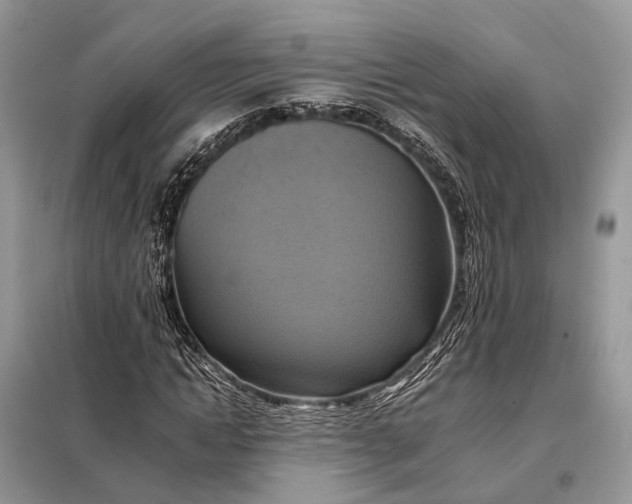 X0000098210822200805081132