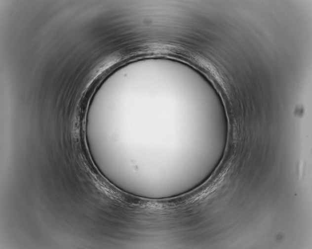 X0000098210827200805081133