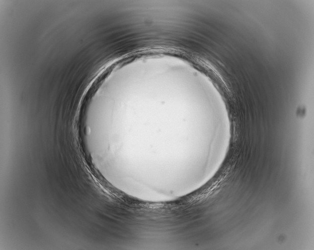 X0000098210828200805081133